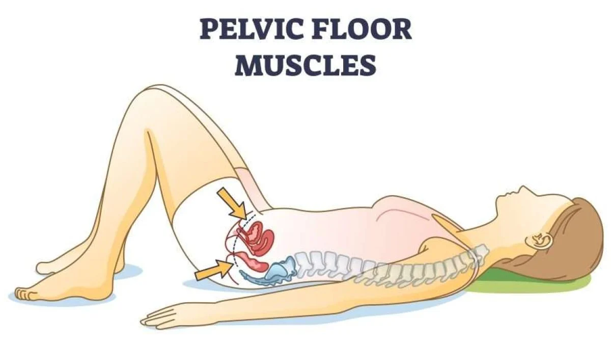 Pelvic floor physiotherapy treatment at Total Wellness Rehab Brampton